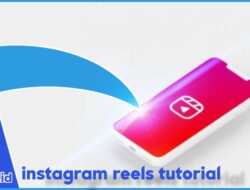 3 Cara Mendownload Video Instagram Reels dan Menyimpannya Ke Galeri