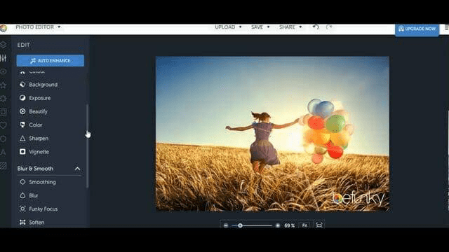 Review LunaPic: Photo Editor Online Terbaik Dan Gratis Di Tahun 2021 ...