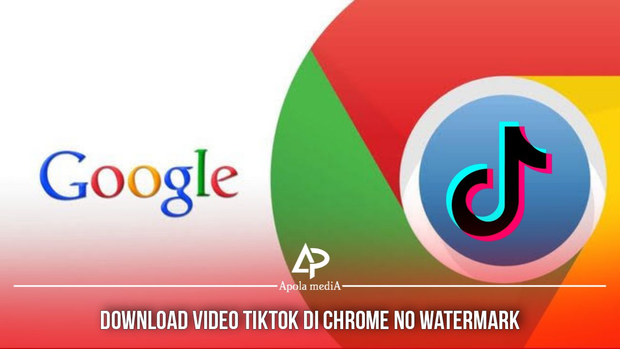 4 Cara Mendownload Video Tiktok Di Google Chrome Tanpa Watermark, Gampang Banget