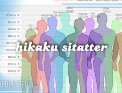 Website Viral Hikaku Sitatter, Ini Dia Cara Menggunakannya