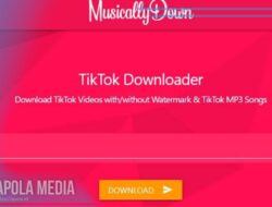 Review Musicallydown com Tiktok Tempat Download Video atau Lagu Tanpa Watermark