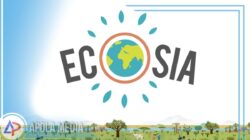 Review Ecosia APK Web Indonesia