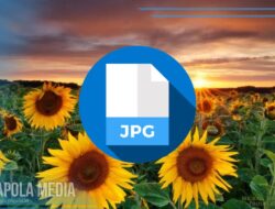 Cara Merubah Foto Ke JPG di Android dengan atau Tanpa Aplikasi