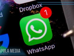 3 Cara Mengatasi Whatsapp Tidak Menanggapi, Dijamin Berhasil 100%