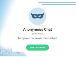 5 Rekomendasi Bot Telegram Chat Selain Anonymous, Paling The Best