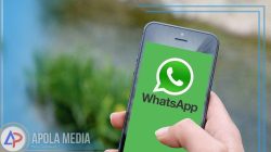 Cara Agar Whatsapp tidak Terlihat Aktif Padahal Online dengan Mudah