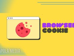 Cara Aktifkan Browser Cookie di Chrome atau Mozilla Firefox
