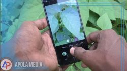 Cara Mematikan Suara Kamera Instagram