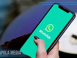 Cara Menghilangkan Info di Whatsapp dengan Mudah dan Praktis