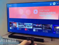 Cara Install Google Play Store di Smart TV Samsung Tanpa Ribet
