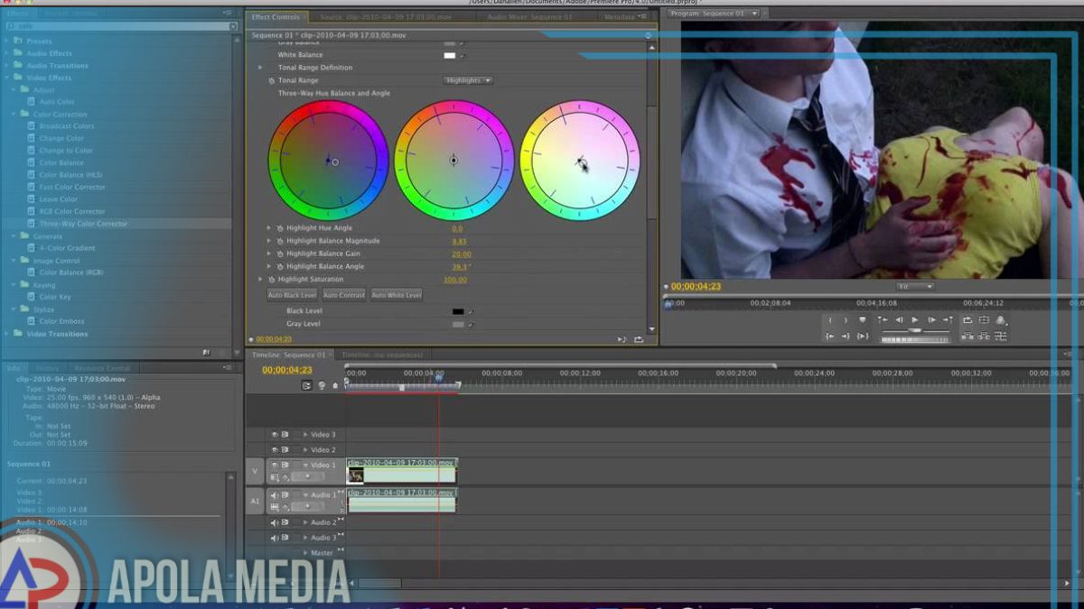 Cara Color Grading di Adobe Premiere Pro