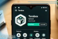 Cara Download File di Terabox