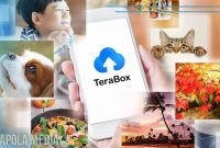 Cara Download Video di Terabox