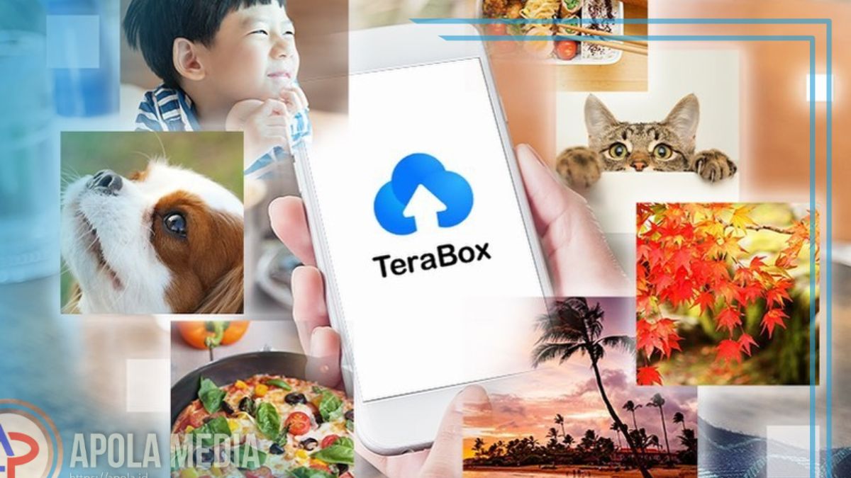 Cara Download Video di Terabox