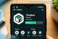 Cara Menyimpan Video dari Terabox ke Galeri